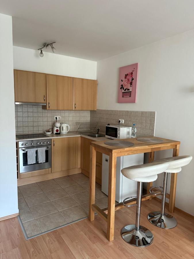 Appartement With Garage, Free Parking Boedapest